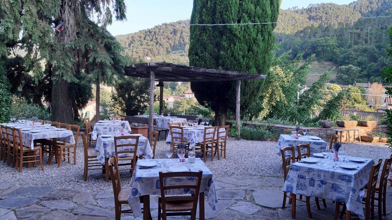 Agriturismo Alle Camelie Villa Capannori Eksteriør bilde